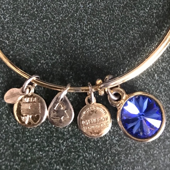 Alex and Ani Expandable Wire Bracelet - Picture 9 of 12